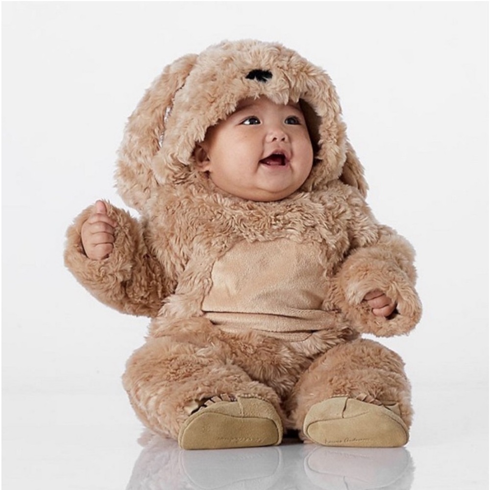 Pottery Barn Kids Dog Costume
